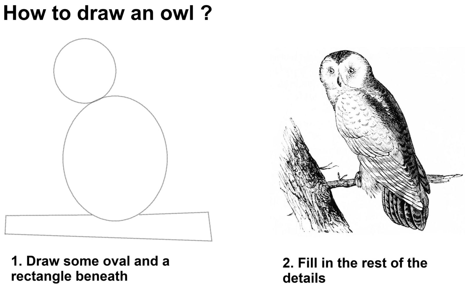 How_to_draw_an_owl_meme